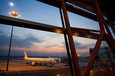 《方块方舟》新生物阿逖柯尔原画公布，限时半价促销同步开启！